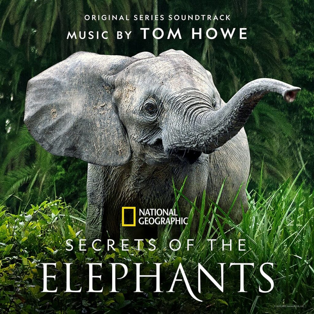 大象的秘密 第一季 Secrets of the Elephants Season 1 原声音乐soundtrack